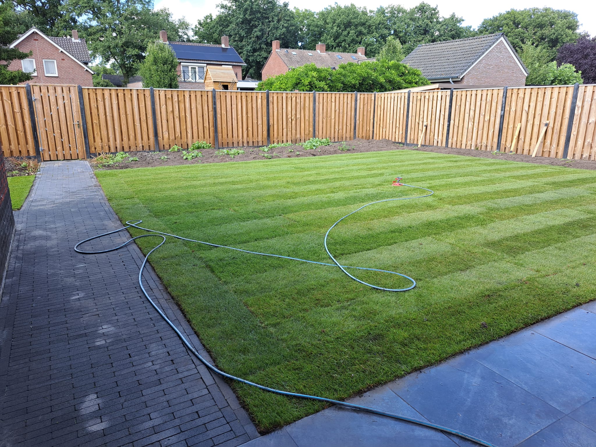 Aanleg gazon in achtertuin